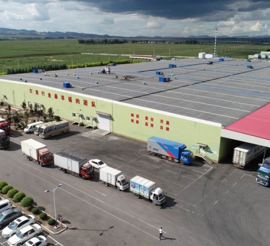 錦州九豐食品有限公司養(yǎng)殖部